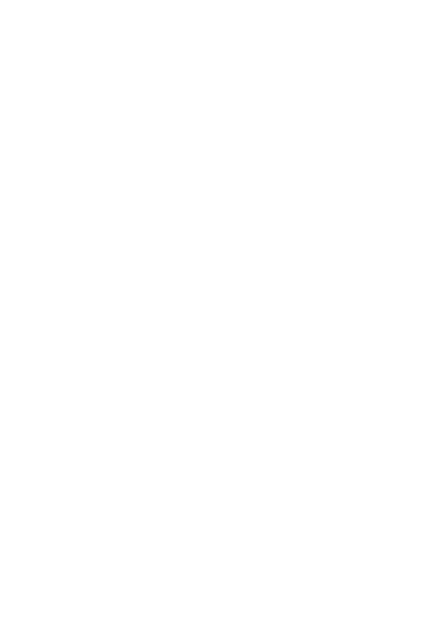 Vintage Frames Floral Ornate Portrait Oval White